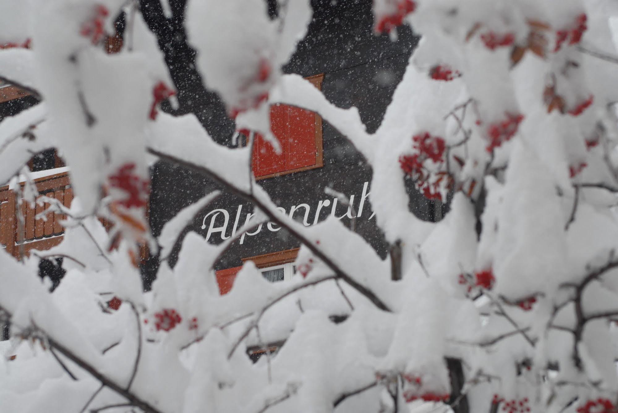 Chalet Alpenruh ซาสฟี ภายนอก รูปภาพ